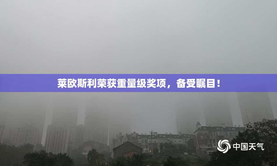 莱欧斯利荣获重量级奖项，备受瞩目！