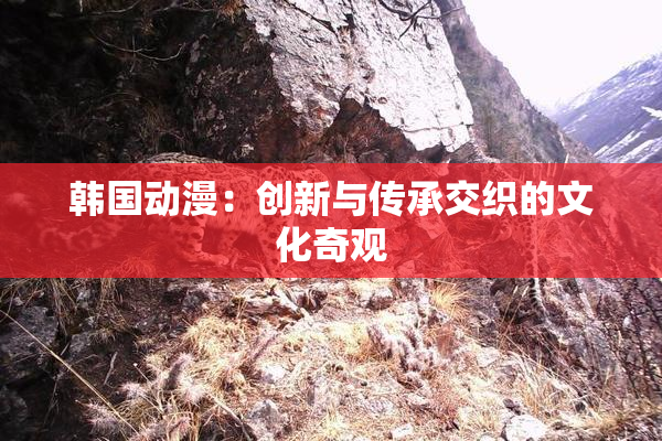 韩国动漫：创新与传承交织的文化奇观