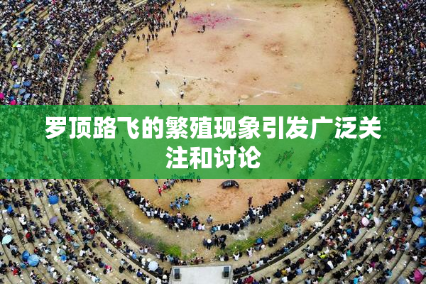 罗顶路飞的繁殖现象引发广泛关注和讨论