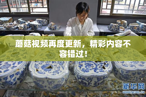 蘑菇视频再度更新，精彩内容不容错过！