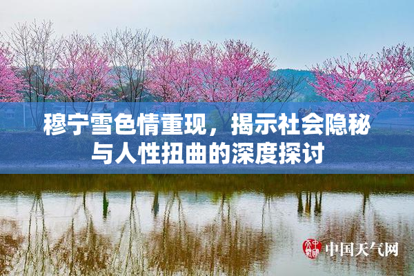 穆宁雪色情重现，揭示社会隐秘与人性扭曲的深度探讨