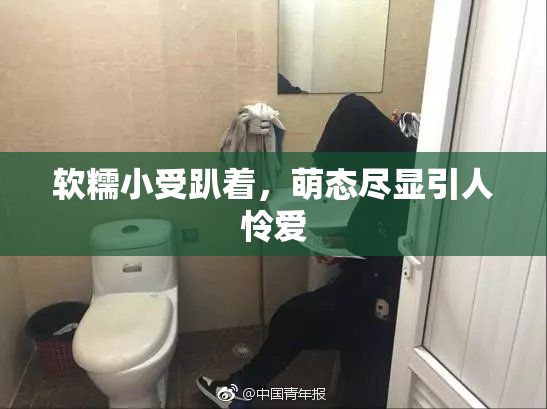 软糯小受趴着，萌态尽显引人怜爱