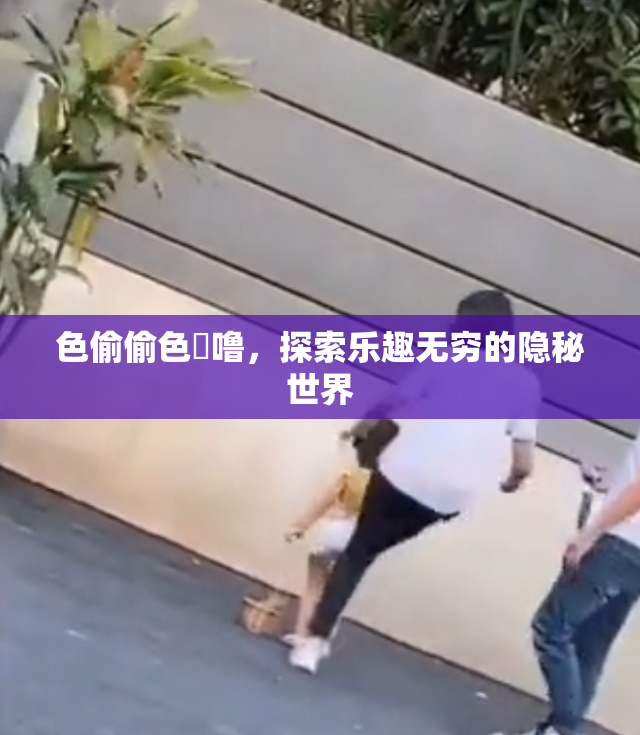 色偷偷色嚕噜，探索乐趣无穷的隐秘世界