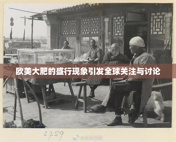 欧美大肥的盛行现象引发全球关注与讨论