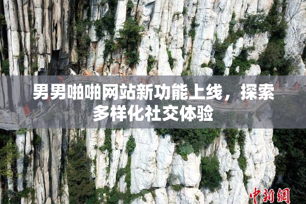 男男啪啪网站新功能上线，探索多样化社交体验
