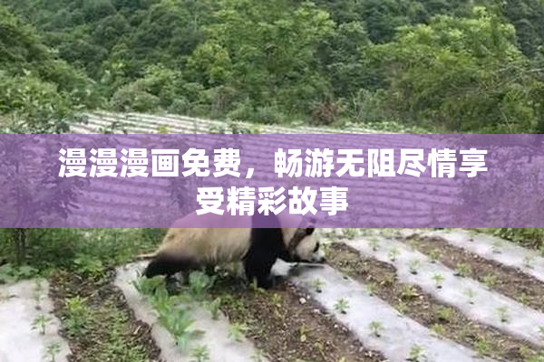 漫漫漫画免费，畅游无阻尽情享受精彩故事