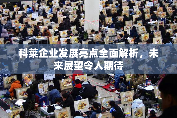 科莱企业发展亮点全面解析，未来展望令人期待