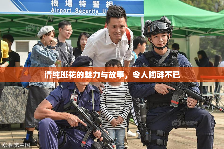 清纯班花的魅力与故事，令人陶醉不已