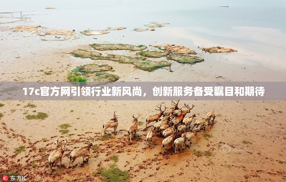17c官方网引领行业新风尚，创新服务备受瞩目和期待