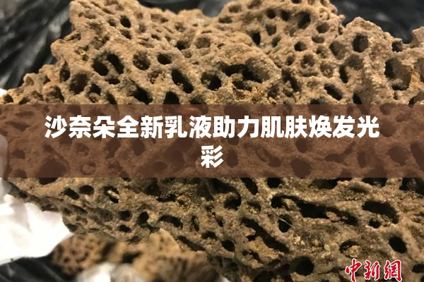 沙奈朵全新乳液助力肌肤焕发光彩