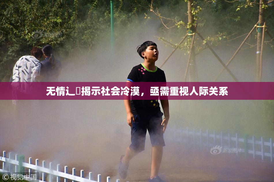 无情辶喿揭示社会冷漠，亟需重视人际关系