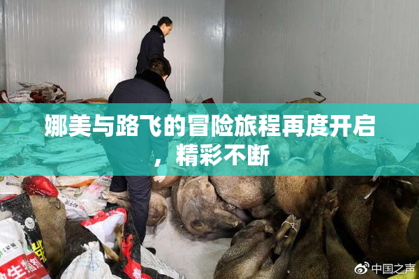 娜美与路飞的冒险旅程再度开启，精彩不断
