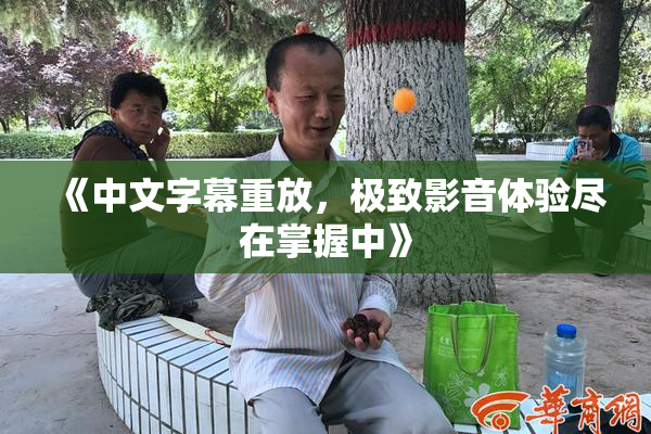 《中文字幕重放，极致影音体验尽在掌握中》