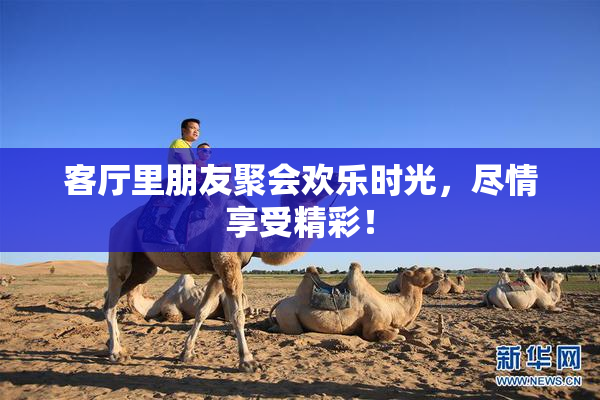 客厅里朋友聚会欢乐时光，尽情享受精彩！