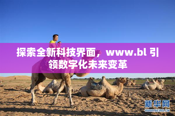 探索全新科技界面，www.bl 引领数字化未来变革
