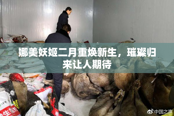 娜美妖姬二月重焕新生，璀璨归来让人期待