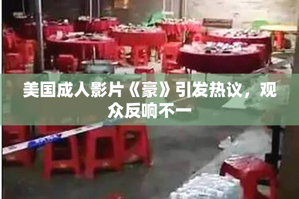 美国成人影片《豪》引发热议，观众反响不一