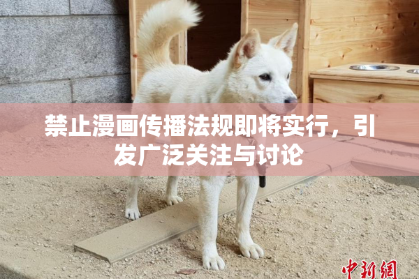 禁止漫画传播法规即将实行，引发广泛关注与讨论