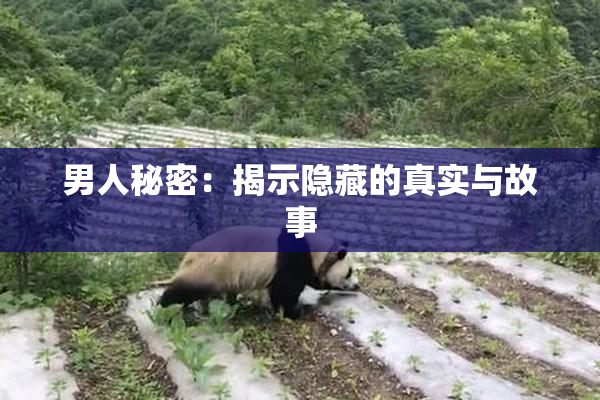 男人秘密：揭示隐藏的真实与故事