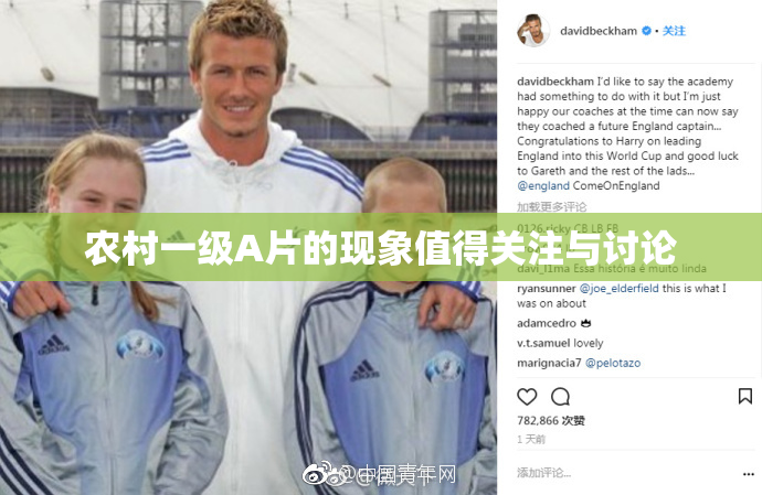 农村一级A片的现象值得关注与讨论