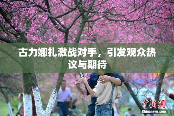 古力娜扎激战对手，引发观众热议与期待