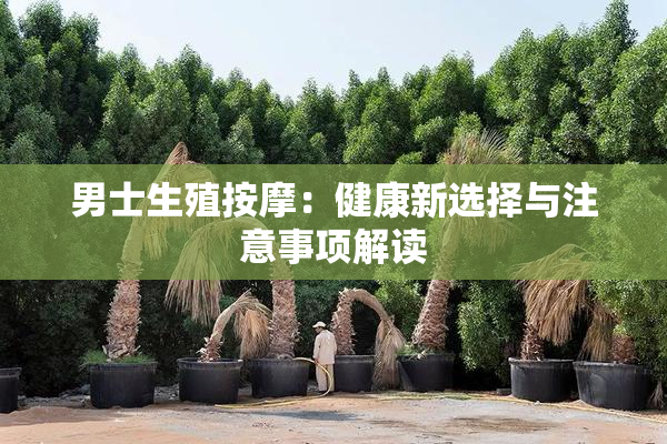 男士生殖按摩：健康新选择与注意事项解读
