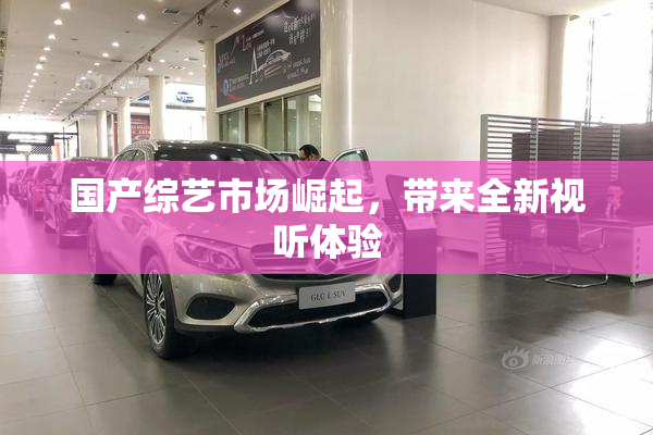 国产综艺市场崛起，带来全新视听体验