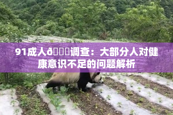 91成人🔞调查：大部分人对健康意识不足的问题解析