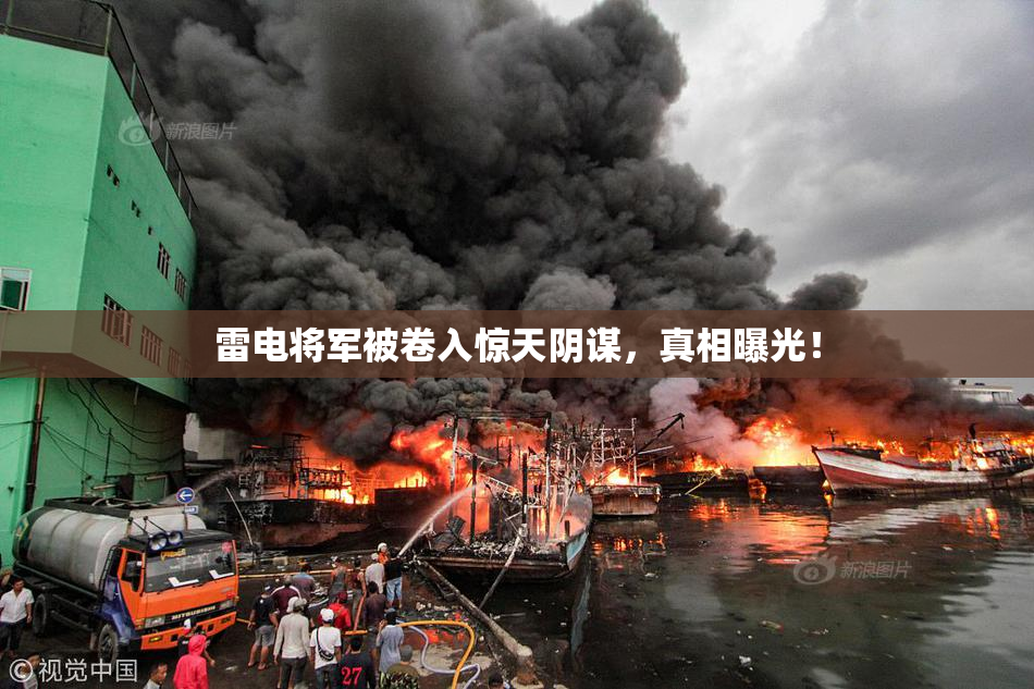雷电将军被卷入惊天阴谋，真相曝光！