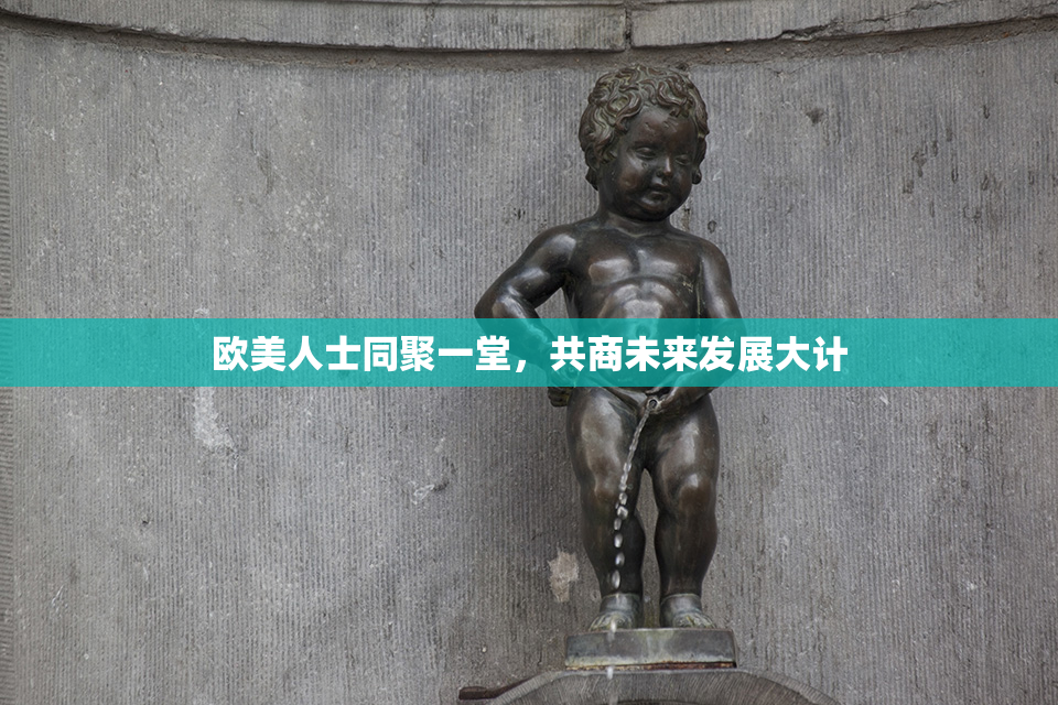 欧美人士同聚一堂，共商未来发展大计