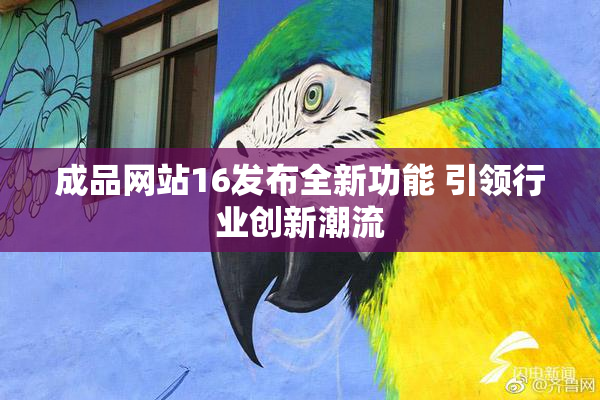 成品网站16发布全新功能 引领行业创新潮流