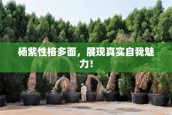 杨紫性格多面，展现真实自我魅力！