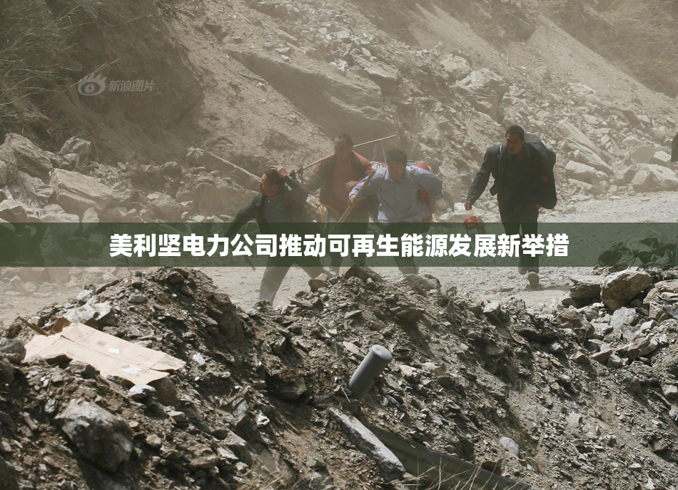 美利坚电力公司推动可再生能源发展新举措