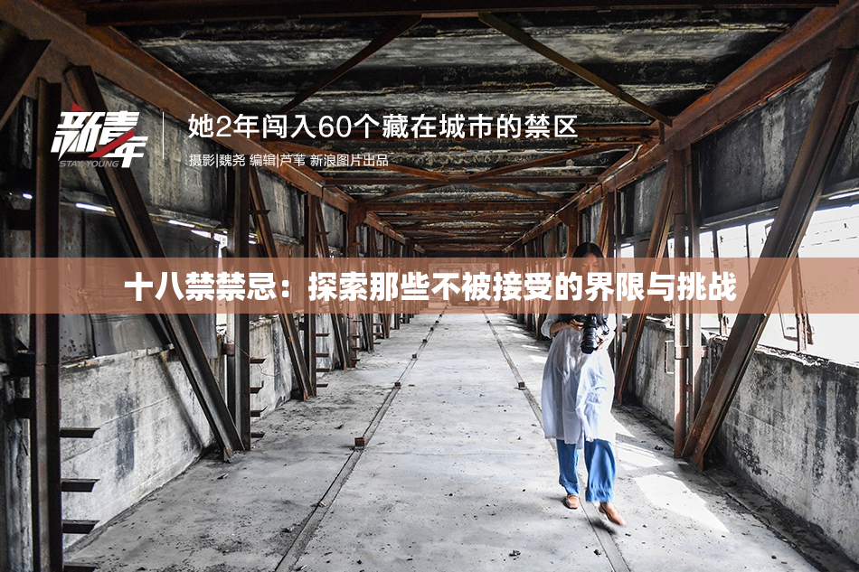 十八禁禁忌：探索那些不被接受的界限与挑战