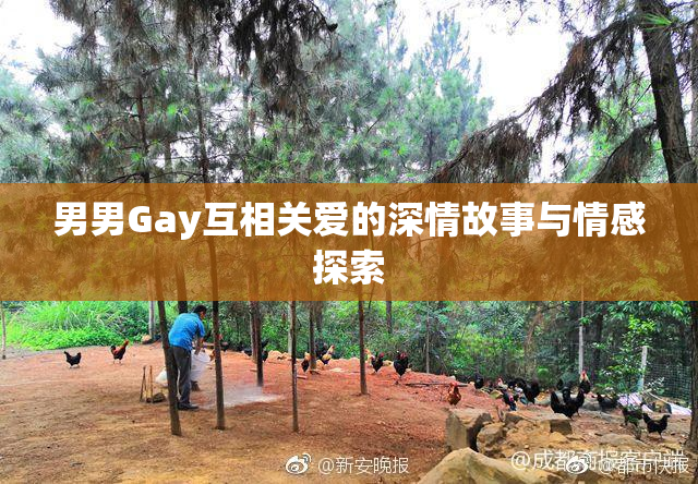 男男Gay互相关爱的深情故事与情感探索