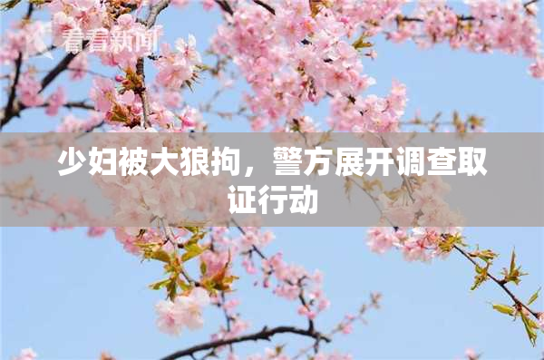 少妇被大狼拘，警方展开调查取证行动