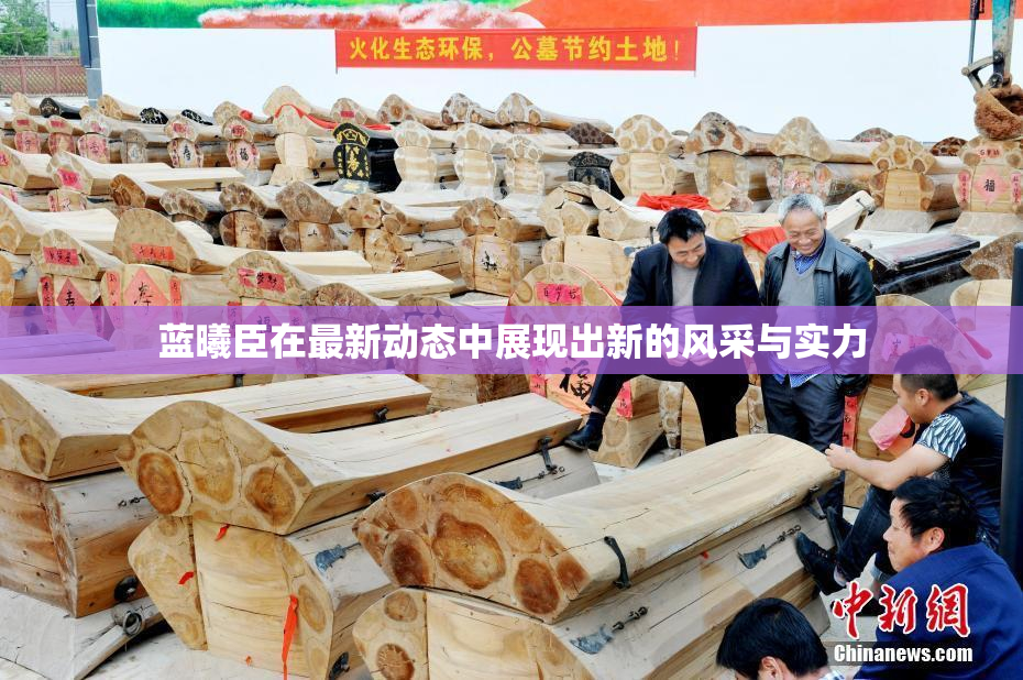 蓝曦臣在最新动态中展现出新的风采与实力