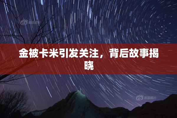 金被卡米引发关注，背后故事揭晓