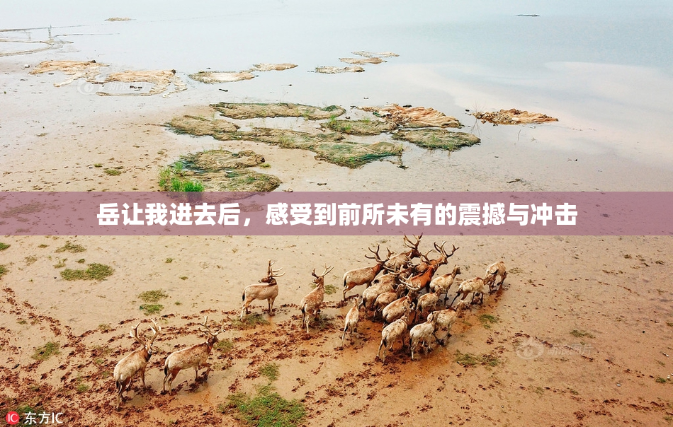 岳让我进去后，感受到前所未有的震撼与冲击