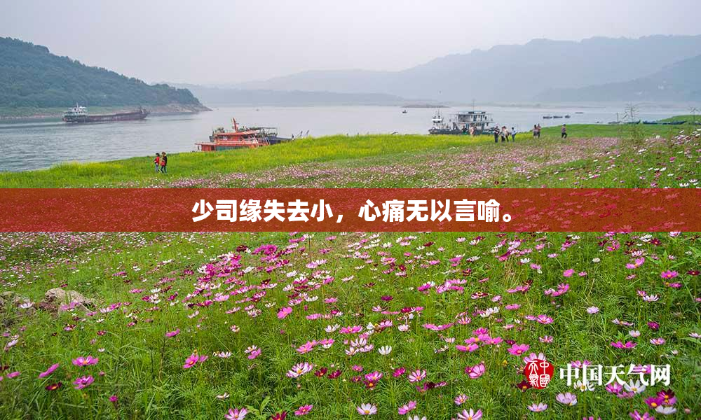 少司缘失去小，心痛无以言喻。
