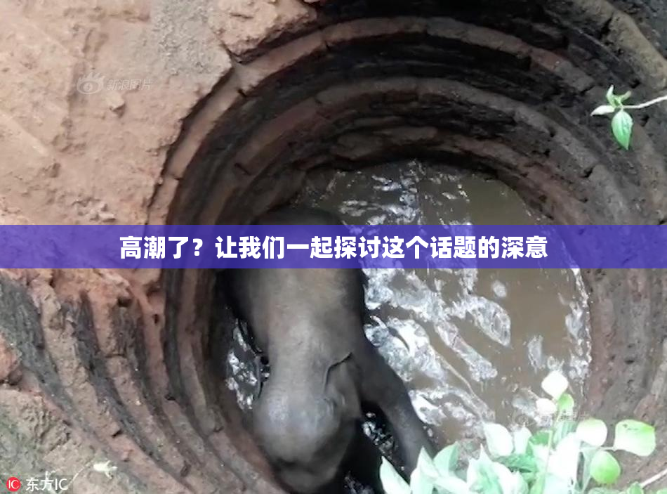 高潮了？让我们一起探讨这个话题的深意