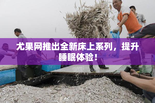 尤果网推出全新床上系列，提升睡眠体验！