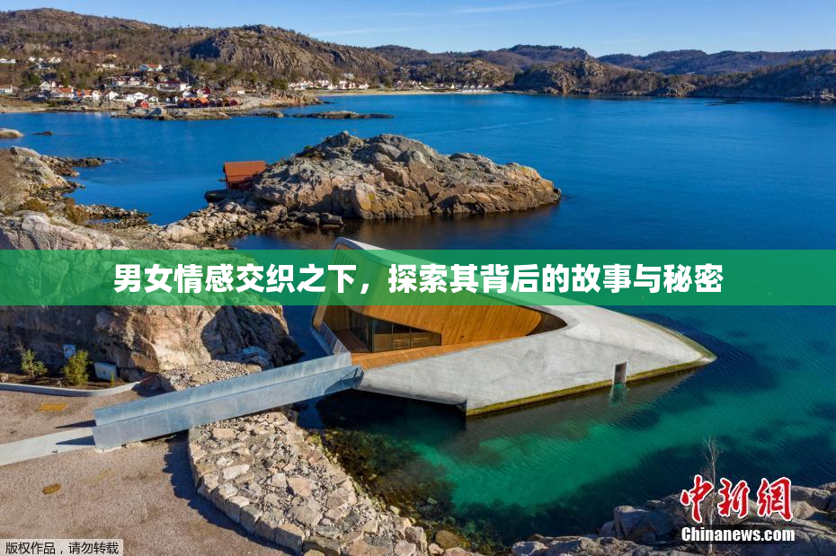 男女情感交织之下，探索其背后的故事与秘密