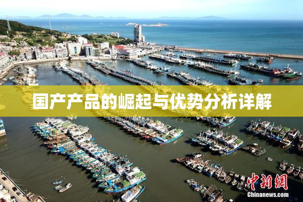 国产产品的崛起与优势分析详解