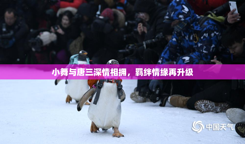 小舞与唐三深情相拥，羁绊情缘再升级