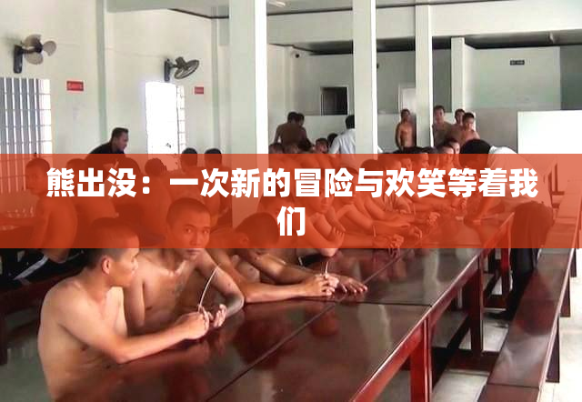 熊出没：一次新的冒险与欢笑等着我们