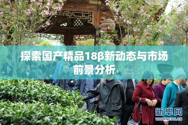 探索国产精品18β新动态与市场前景分析