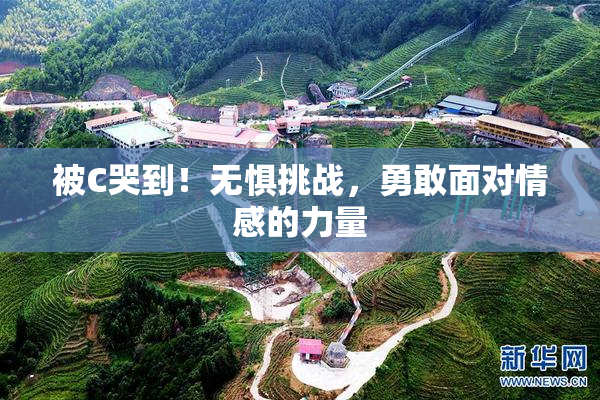 被C哭到！无惧挑战，勇敢面对情感的力量