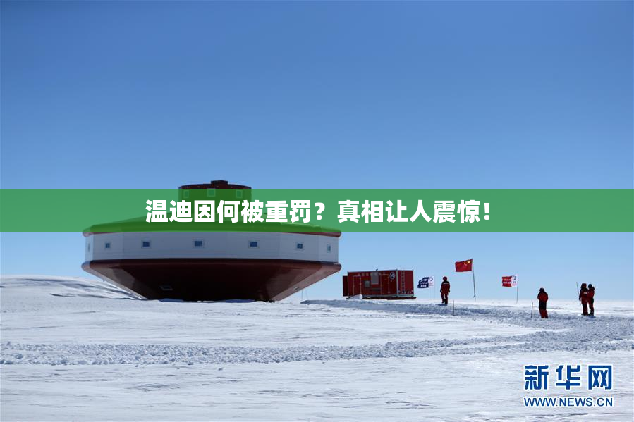 温迪因何被重罚？真相让人震惊！