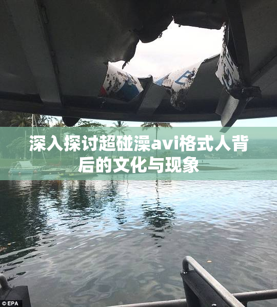 深入探讨超碰澡avi格式人背后的文化与现象